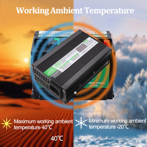 Pengisi daya baterai LiFePO4 29.2V 5A pabrik dengan tampilan pengisian daya OLED untuk 8S 25.6V baterai LiFePO4 pengisi daya baterai 24V - Product Image 4