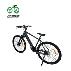 Bicicleta Eléctrica Urbana Queene 2023 de 36V 250W/350W, 700C, con Transmisión por Correa y Batería Oculta - Product Image 1