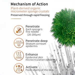 Crème Gel Peeling Bio Microneedling aux 6 Types de Spicules de Spongilla, Traitement Rénovateur Visage aux Algues - Product Image 5