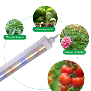 Lampe de culture <span class=keywords><strong>LED</strong></span> T8, 1/2 pièces, spectre complet, pour culture de plantes d'intérieur, semis de légumes, 18W <span class=keywords><strong>36W</strong></span>, <span class=keywords><strong>120cm</strong></span> - Product Image 3