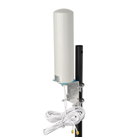Antenne cylindrique étanche extérieure en gros d'usine antenne MIMO omnidirectionnelle WiFi 4G LTE pour point d'accès de routeur sans fil
