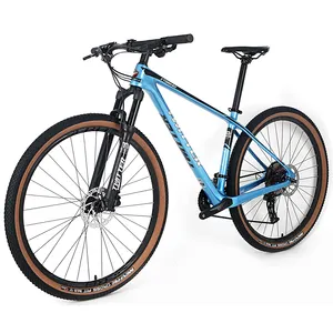 mountainbike 29 mountain bike /29 inch suspension moutain bike/high quality carbon fiber mtb supplier