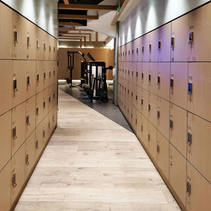 Cartmay Lưu Trữ Tủ Locker 6 8 10 Cửa Tủ Quần Áo Armoire Tủ Quần Áo Treo Thanh Thay Đổi Phòng Phòng Tủ Khóa - Product Image 6