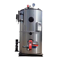 Générateur de vapeur vertical à gaz ou diesel de 100 kg, 150 kg, 200 kg, 250 kg, 300 kg, 400 kg, 500 kg, 600 kg, 700 kg, 1000 kg/h