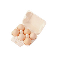 Boîte à œufs en bagasse de canne à sucre, 6 compartiments, biodégradable, en pulpe de bagasse, recyclable pour l'emballage des œufs de poule