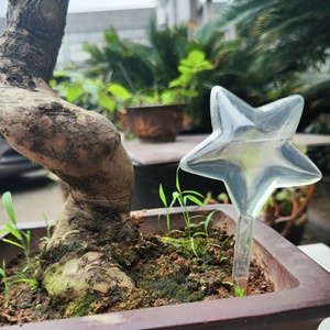 Lớn 25.5Cm Rõ Ràng Trong Suốt Nhà Máy Tưới Nước Quả Cầu Nhựa Tự Tưới Nước Bóng Đèn Bóng Vườn Nước Thiết Bị Gai Cọc - Product Image 6