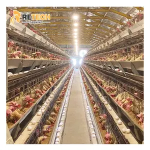 Chicken Cage Manufacture Hot Sale Chicken Layer Cage Poultry Equipment in the Philippines