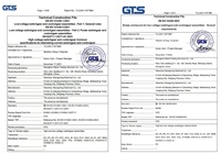 Panel de Control de Distribución Eléctrica de 21 Vías con Interruptor Principal Temporal, Proveedor con Certificación ISO 9001, Fabricante de Gabinetes Personalizados