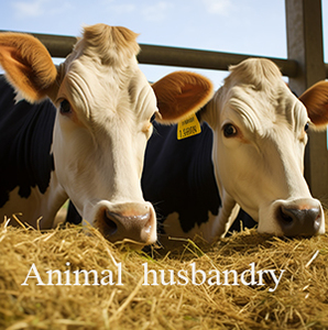 Canlandırma toplu ambalaj ucuz de magnesio cristales de mentol saf kelas medis magnezyum sülfat ile çin'de yapılan - Product Image 4