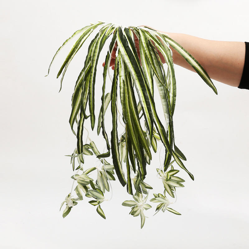 กล้วยไม้แขวนผนังแขวน-สีเขียว