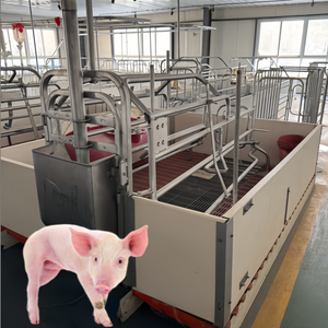 Động Vật Mới Điều Kiện Mới Thiết Bị Trang Trại Dài Dịch Vụ Cuộc Sống <span class=keywords><strong>Farrowing</strong></span> Thùng Cho Lợn - Product Image 3