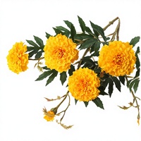 Karangan Bunga Buatan Sutra Marigold Oranye Multiwarna Grosir, Kepala Bunga Putih Kuning, Buket untuk Tahun Baru Imlek