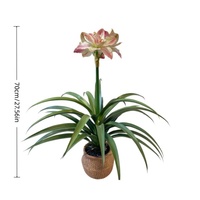 Bunga Clivia Bonsai Buatan Realistis Tunggal untuk Dekorasi Meja Grosir Tanaman Berpenampilan Alami