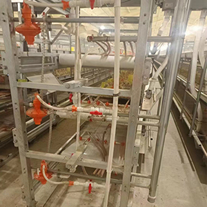 H loại gà lồng Gà Nuôi lồng để giữ gà lớp - Product Image 5