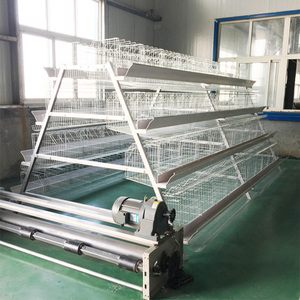 التلقائي نوع طبقة قفص للدجاج البيض الدواجن قفص دواجن مناسب للمزارع قفص للدجاج نظام - Product Image 3