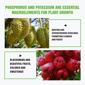 Công nghiệp lớp phân bón hữu cơ kali dihydrogen <span class=keywords><strong>Phosphate</strong></span> BỘT DINH DƯỠNG tiêu chuẩn hữu cơ chất dinh dưỡng - Product Image 2