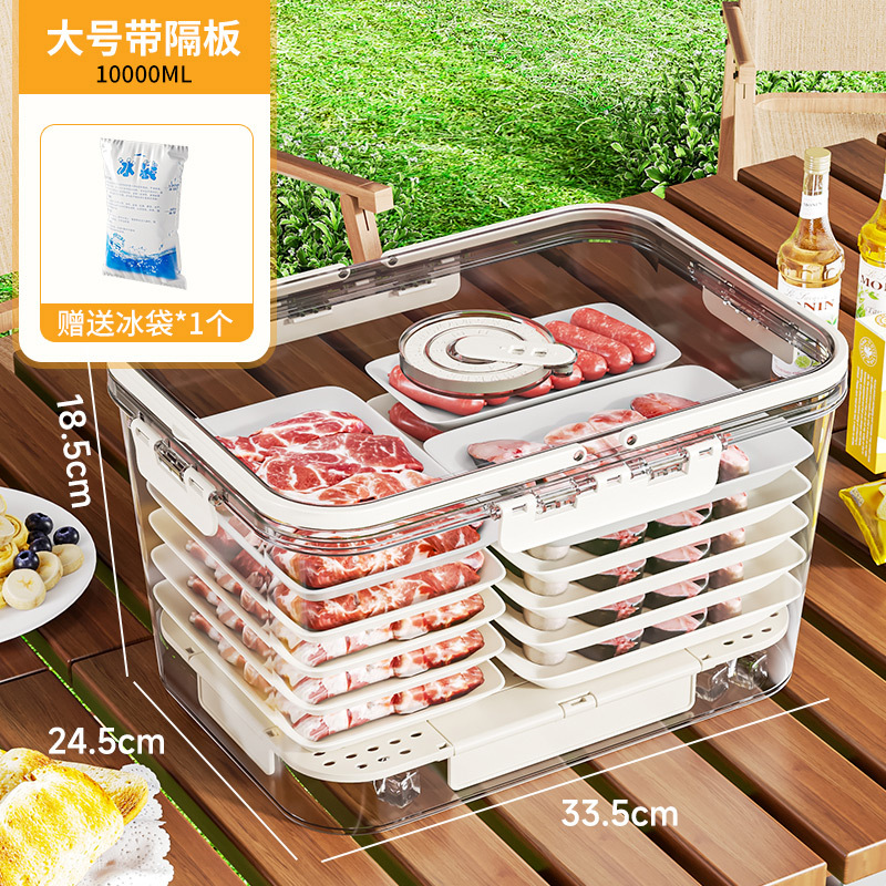 Food storage container (with handle) - Large size "ice pack"