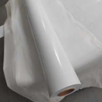 Film vinyle imprimable pour piste de danse de 6 mil et 54 pouces, revêtement de sol amovible pour mariage, graphiques de sol