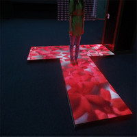 Écran LED interactif 3D couleur pleine profondeur 16 bits 16:9 pour piste de danse extérieure, centre commercial P2.5 SDK OEM 3 ans IP43