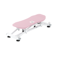 Mini stepper de fitness pour entraînement cardio, machine de ski, entraîneur d'équilibre corporel complet, écran LCD, acier et PP, charge maximale 150 kg