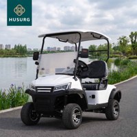 Voiturette de golf tout-terrain deux places, 4 roues, frein hydraulique, homologuée pour la route, buggy électrique avec éclairage LED, couleur personnalisée disponible