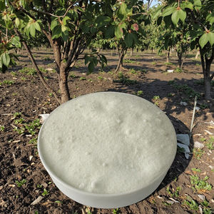 <span class=keywords><strong>Qiaodan</strong></span> 13-06-40 + TE องค์ประกอบขนาดใหญ่ปุ๋ยที่ละลายน้ำได้10กก. * 2ถุง/กล่องผงแตงโมโพแทสเซียมสูงและผลไม้ - Product Image 5