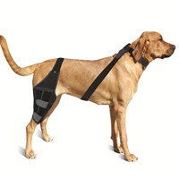 Attelle de genou pour chien en néoprène flexible avec logo personnalisé, protection articulaire pour chiens, soulagement de la douleur