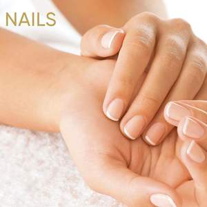 ETRUN ALISA Private Label olio di Avocado sfuso spremuto a freddo olio essenziale per schiarire la pelle crescita dei capelli semi commestibili raffinati - Product Image 3