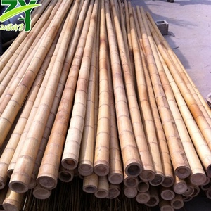 Pólo De Bambu Cru De Grande Diâmetro, pólos De Bambu Grande Uso De Construção De Alta Qualidade, polos De Bambu Moso De China Tamanho Feito Sob Medida - Product Image 5