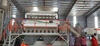 Machine de tri de couleur au design unique pour riz long grain, riz étuvé, blé et raisins secs, certifiée CE ISO