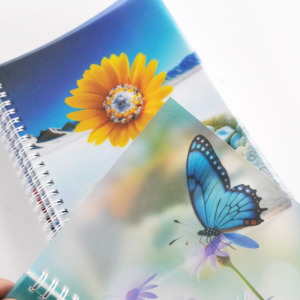 Cuaderno Espiral Personalizado para Escuela <span class=keywords><strong>Primaria</strong></span>, <span class=keywords><strong>Agenda</strong></span>, Diario para Estudiantes, Cubierta de PP con Logotipo Personalizado, Cuaderno de Registro Novo Em Folha - Product Image 4