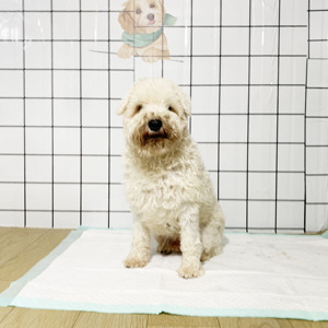 Tapis absorbants pour chiens, doux pour la peau, pour l'apprentissage de la propreté des chiots - Product Image 2