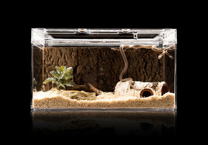 Boîte d'alimentation solide PC transparente conception de plateau en plastique moderne pour différents reptiles lézards araignées hamsters - Product Image 3