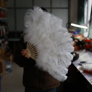 Rayon 45cm blanc plume d'<span class=keywords><strong>autruche</strong></span> ventilateur scène Performance Photo Shoot Cheongsam défilé de mode accessoire ventilateur pliant ventilateur - Product Image 1