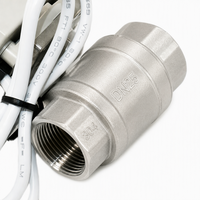 Vanne à boisseau sphérique électrique proportionnelle de type V DN8-25 1/4''-1'' en acier inoxydable 304 pour eau, signal d'entrée 4-20mA 0-5V 0-10V, signal de sortie max OEM FKM