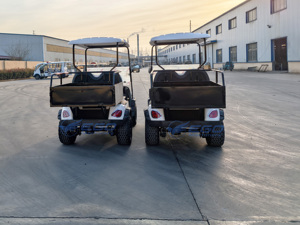 Carrito de Golf Eléctrico de 2 Plazas, Tipo Club Car, para 2 Pasajeros, con Motor y Compatibilidad con Combustible, Envío Gratis - Product Image 2