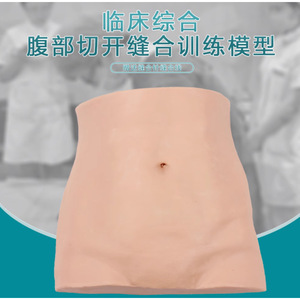 Le modèle d'entraînement à l'incision et à la suture abdominale est utilisé pour l'entraînement aux compétences d'incision et de suture, ainsi qu'au traitement des plaies. - Product Image 3