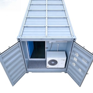 Cella Frigorifera Commerciale a Prezzo di Fabbrica, Congelatore Rapido, Container Refrigerato 20Ft, Unità di Refrigerazione - Product Image 3