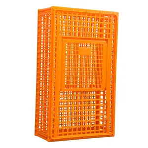 Farming equipments poultry plastic crates chicken transport crates for live poultry