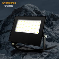 WOOJONG LED Stadium Flood Light IP65 10W 20W 30W 40W 50W 100W 200W LED Matte Flood Light Outdoor Light