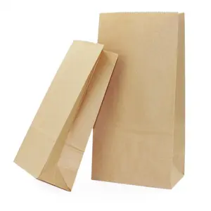 Food Grade Custom Printed Oil Resistant Biocompostable Degradable Coated Bread Packaging Brown or White Kraft Paper Bag