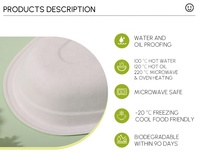 Moule à pulpe de Bagasse de canne à sucre jetable biodégradable Compostable bol à salade rond avec couvercle