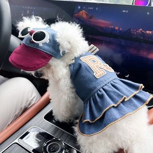 Vêtements pour animaux de compagnie PETCIRCLE Printemps/Été - Tenues pour chiens et chats, jupe en jean à motif d'ours, lunettes de soleil blanches et chapeau - Product Image 5