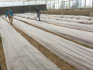 <span class=keywords><strong>Film</strong></span> de paillage plastique noir pour fraises, pastèques et légumes, longueurs 400m, 600m, 800m, option biodégradable disponible, <span class=keywords><strong>film</strong></span> de paillage - Product Image 5