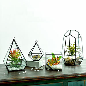 Terrario cerrado de vidrio para plantas suculentas geométricas, maceta para flores, reptiles con puerta - Product Image 5