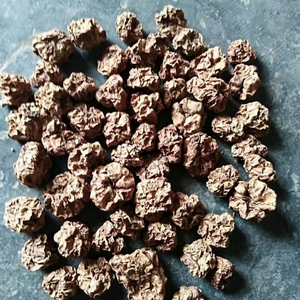 100% אקטנידיה מיובשת אורגנית פוליגמה חרקים Gall פירות ענבי כסף טבעיים מזון לחיות מחמד עשיר בחלבון בשקית לחתולים - Product Image 5