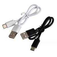 Câble USB C le moins cher chaud chargeant uniquement le câble de données de chargeur de Type C pour le téléphone portable longueur personnalisée 0.2m 0.5m 1m 2m 3m