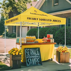 10x10 Pop up açık dükkan pazarlama promosyon taşınabilir katlanabilir reklam çadır sergi olay katlanır çadır - Product Image 1