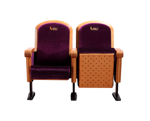 Ghế Cổ Điển Giá Thính Phòng Ghế Thính Phòng Chỗ Ngồi Thính Phòng - Product Image 3