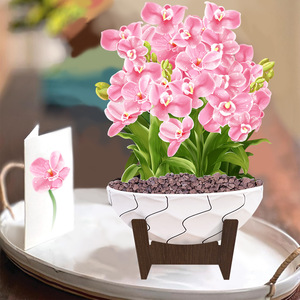 การ์ดอวยพรวันแม่ 3 มิติ ดีไซน์สร้างสรรค์และขายดีที่สุด ของขวัญแฮนด์เมดรูปดอกกล้วยไม้สำหรับคุณแม่ พร้อมการ์ดข้อความ - Product Image 4